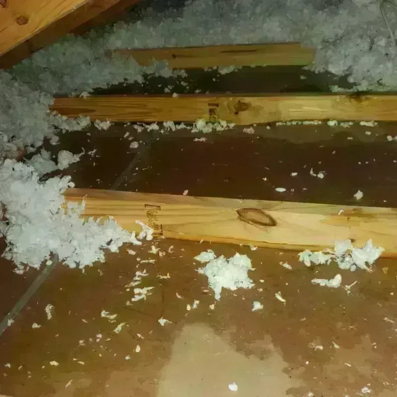 Attic Water Damage in Freeland, PA